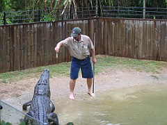 CairnsTC267 Wildlife Habitat